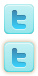 ico-twitter