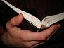 Bible