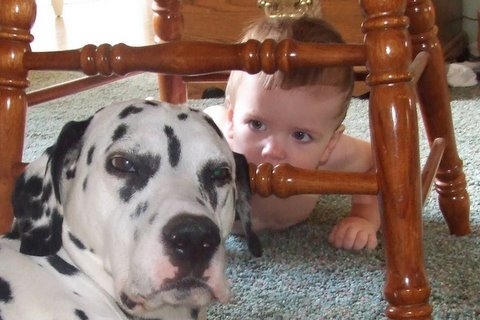 Moses and Ty