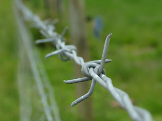 Wire
