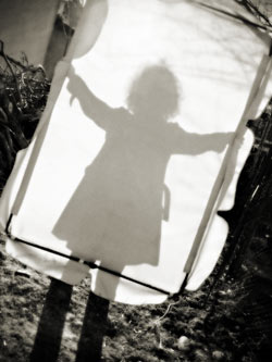 shadow