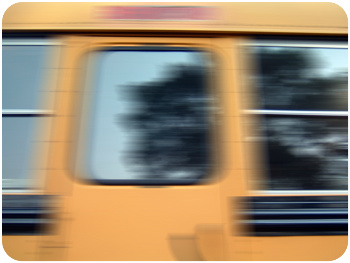 School bus
