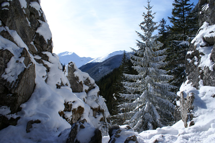 Valley