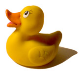 ducky