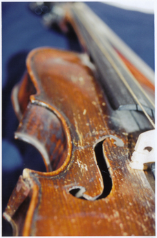 Violin