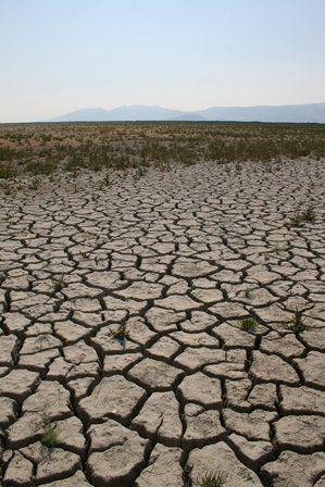 DryLand
