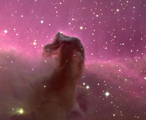 Horsehead Nebula