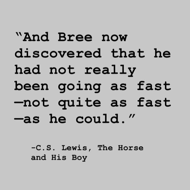 "And Bree now discovered that he had not really been going as fast -- not quite as fast -- as he could."