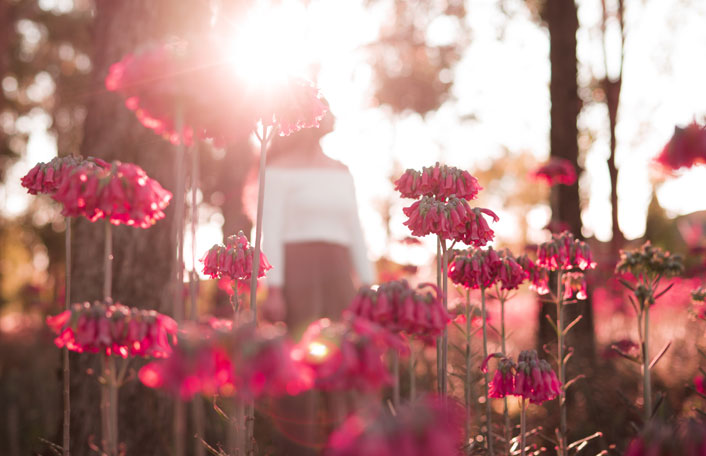 What Will Our Glorified Bodies Be Like? - Eternal Perspective Ministries