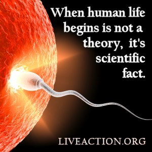 When human life begins