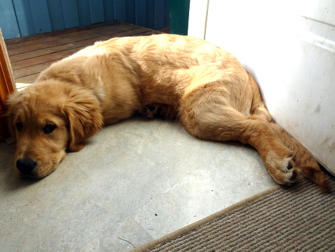 Maggie in the doorway