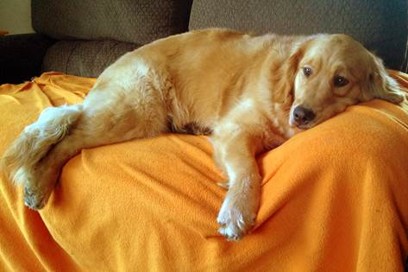 Maggie