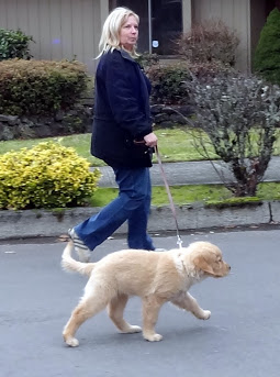 Maggie walking