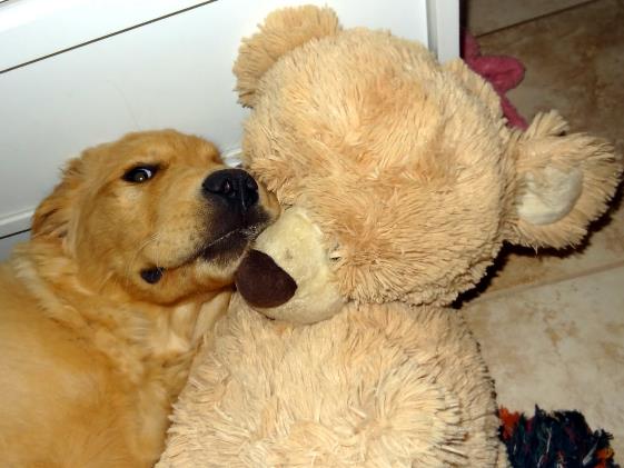 Maggie and her teddy bear