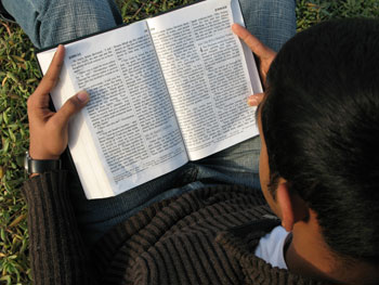 Man reading the Bible