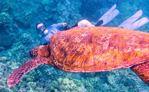 Randy with turtle