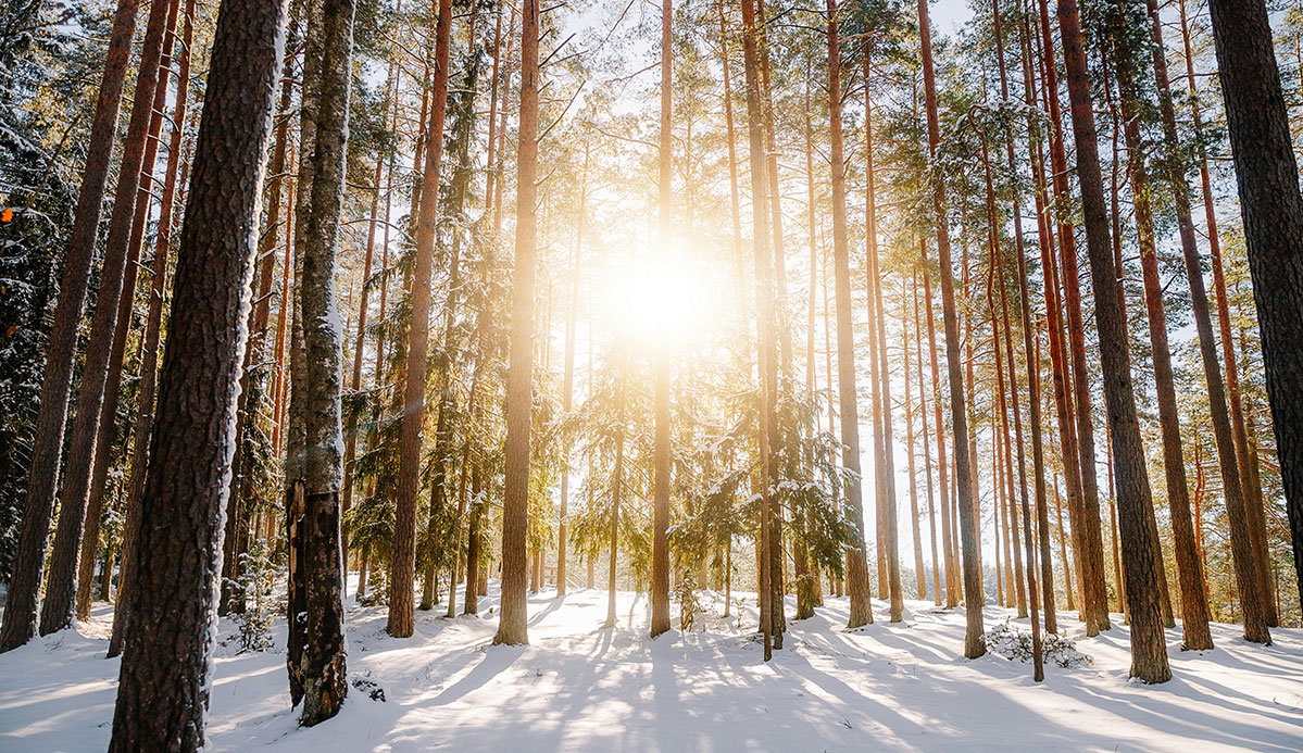 Christ’s Birth Is a Sunburst of Joy: A.W. Tozer Christmas Quotes ...