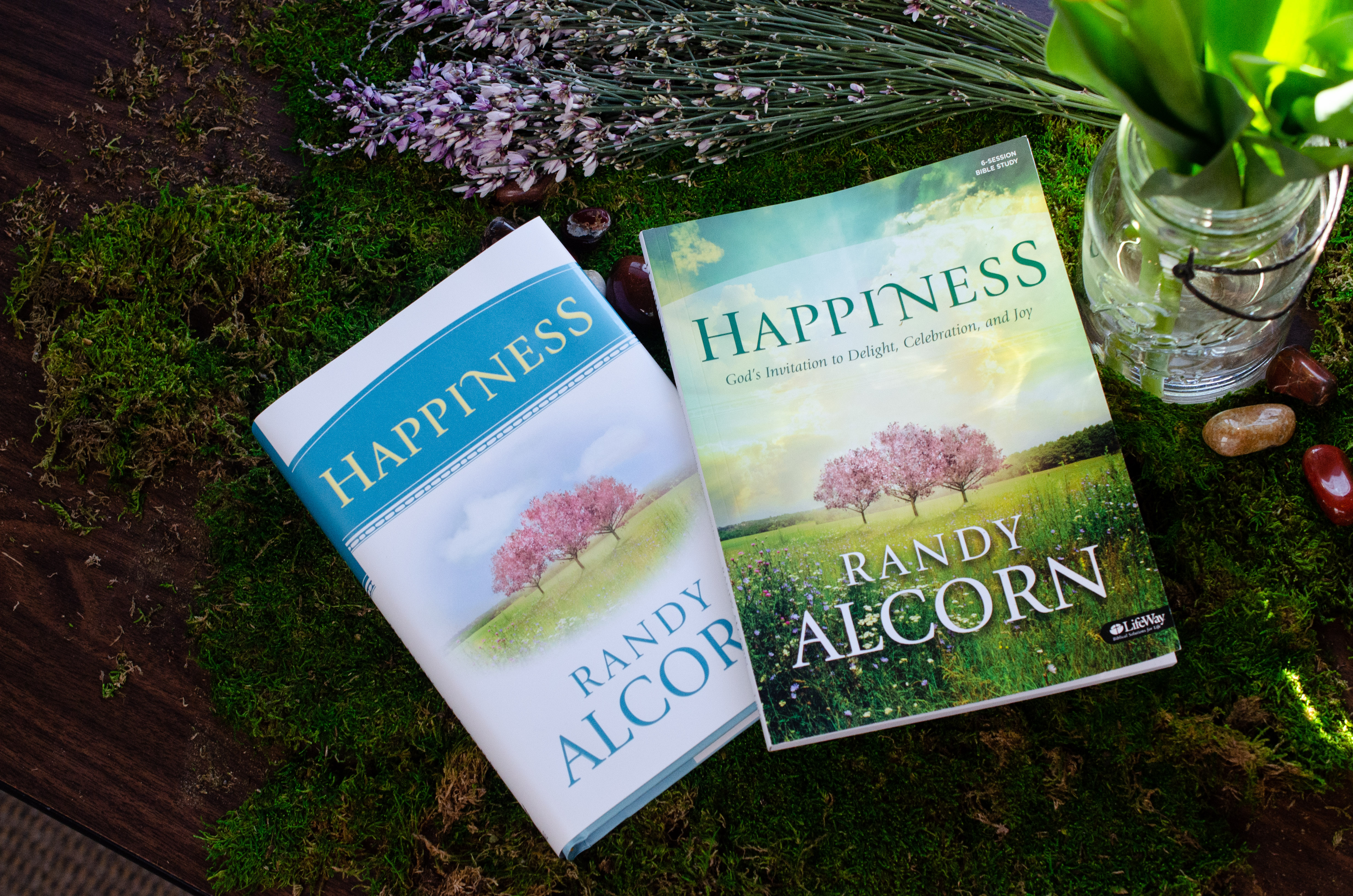 Happiness Bible Study Videos - Eternal Perspective Ministries