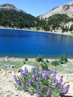 Mt. Lassen