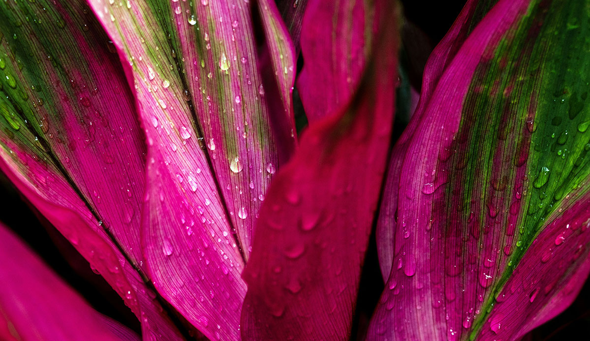 Does Paradise still exist? Eternal Perspective Ministries